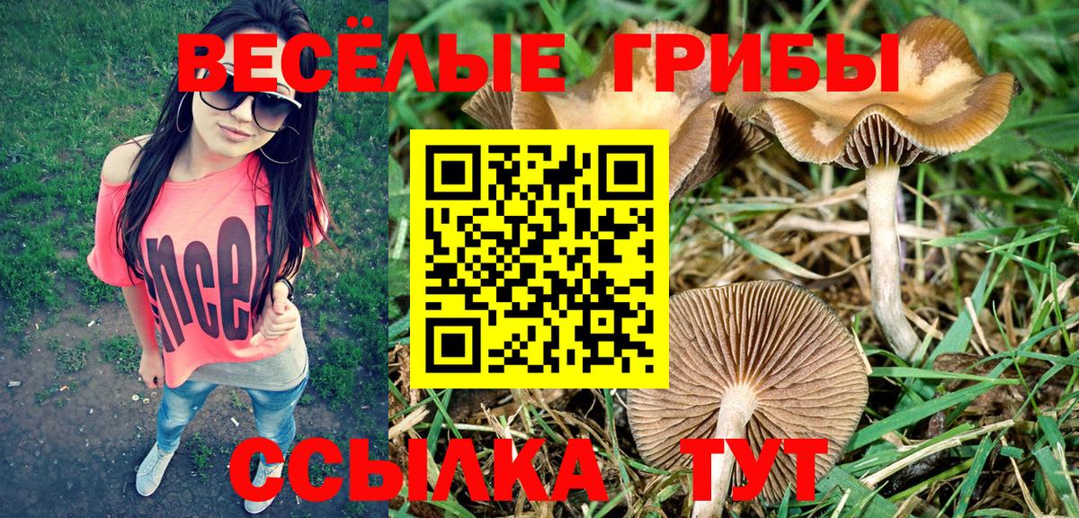 даркнет сайт  Вход с VPN  Галлюциногенные грибы мухоморы  Лысьва  Галлюциногенные грибы мицелий 